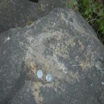 Vraj-Yatra-2014- (676)